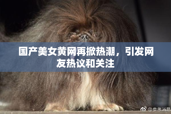 国产美女黄网再掀热潮，引发网友热议和关注