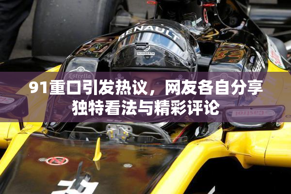 91重口引发热议，网友各自分享独特看法与精彩评论