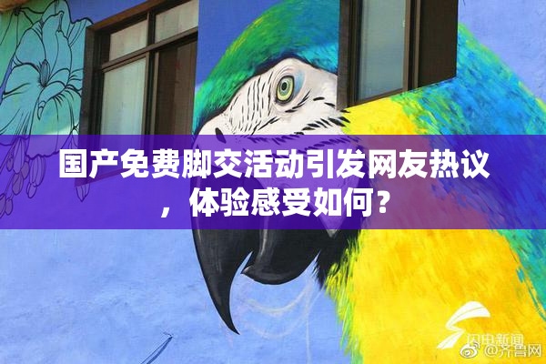 国产免费脚交活动引发网友热议，体验感受如何？