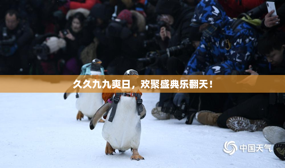 久久九九爽日，欢聚盛典乐翻天！