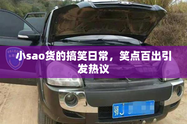 小sao货的搞笑日常，笑点百出引发热议