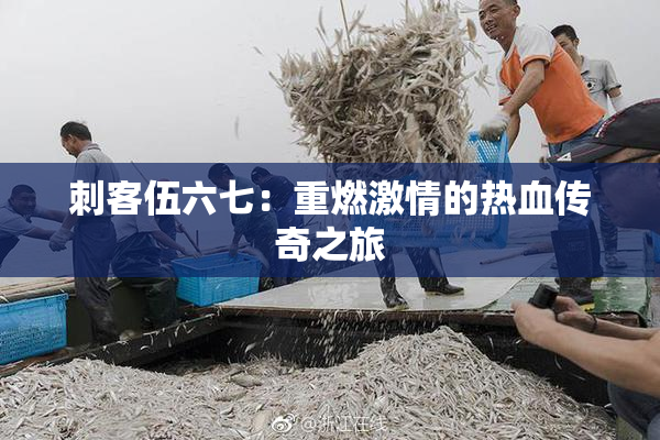 刺客伍六七：重燃激情的热血传奇之旅