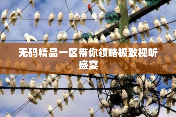 无码精品一区带你领略极致视听盛宴