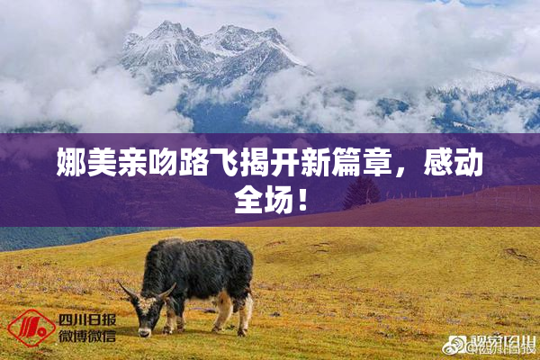 娜美亲吻路飞揭开新篇章，感动全场！