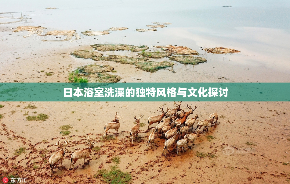 日本浴室洗澡的独特风格与文化探讨