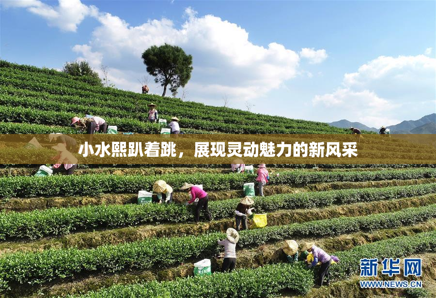 小水熙趴着跳，展现灵动魅力的新风采