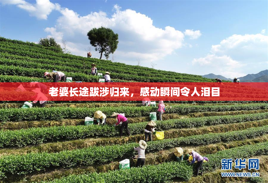 老婆长途跋涉归来，感动瞬间令人泪目