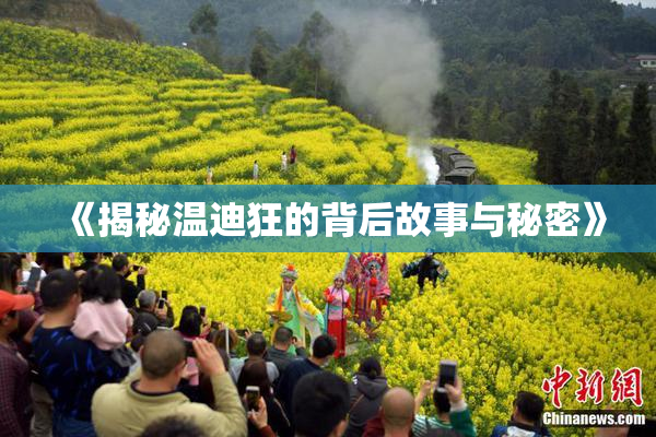 《揭秘温迪狂的背后故事与秘密》