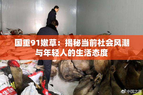 国重91嫩草：揭秘当前社会风潮与年轻人的生活态度
