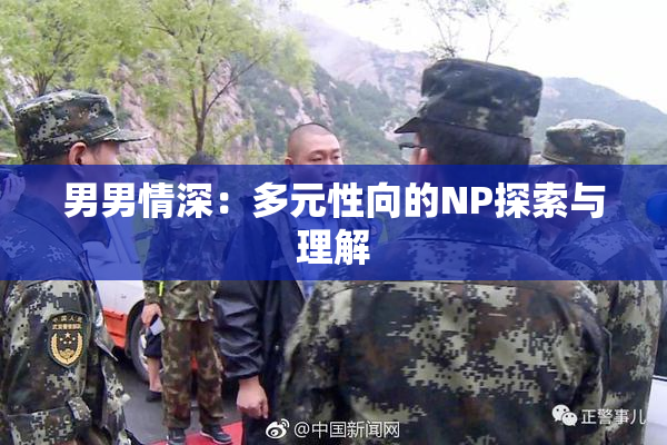 男男情深：多元性向的NP探索与理解
