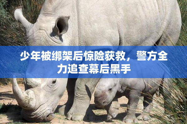 少年被绑架后惊险获救，警方全力追查幕后黑手