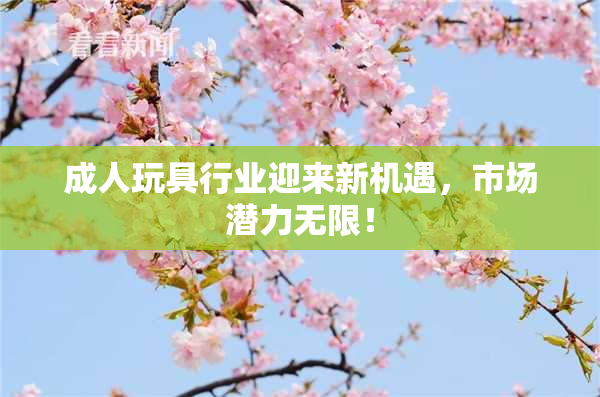 成人玩具行业迎来新机遇，市场潜力无限！