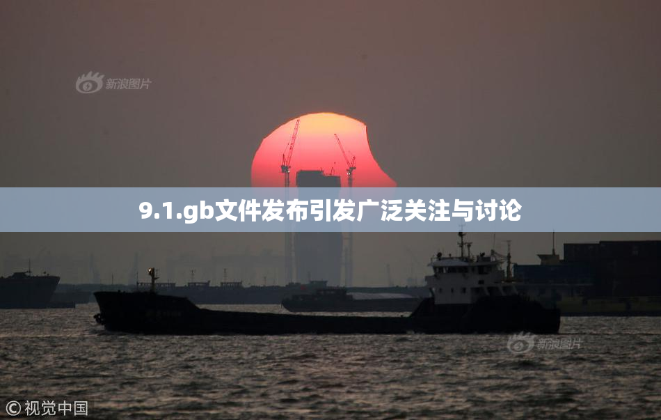 9.1.gb文件发布引发广泛关注与讨论