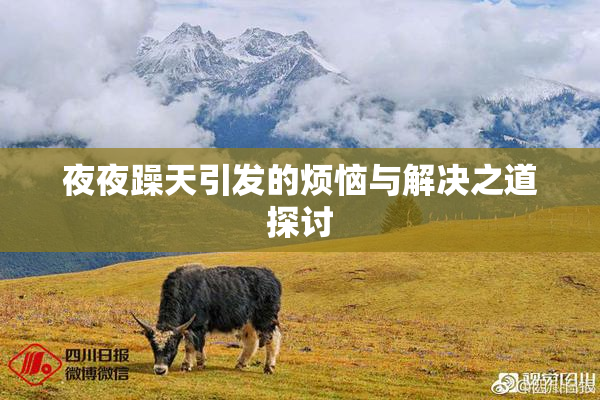 夜夜躁天引发的烦恼与解决之道探讨