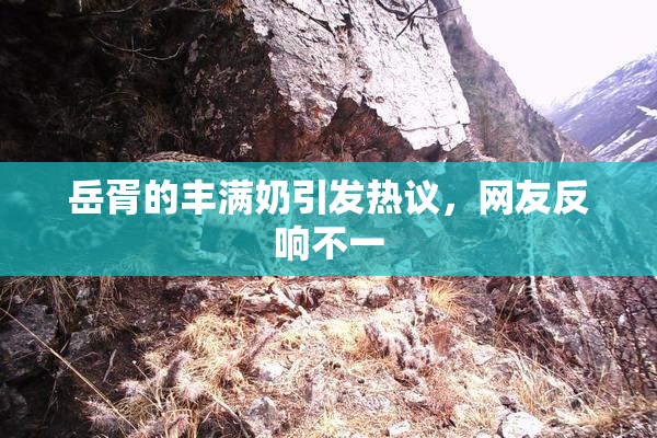 岳胥的丰满奶引发热议，网友反响不一