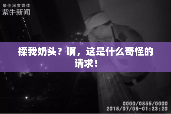 揉我奶头？啊，这是什么奇怪的请求！