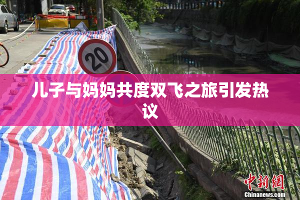 儿子与妈妈共度双飞之旅引发热议