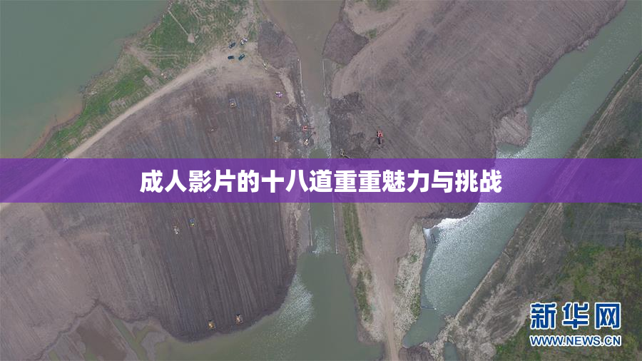 成人影片的十八道重重魅力与挑战