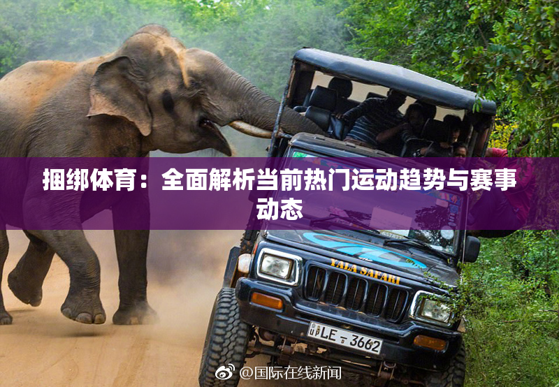 捆绑体育：全面解析当前热门运动趋势与赛事动态