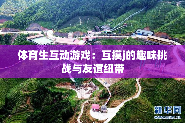 体育生互动游戏：互摸j的趣味挑战与友谊纽带