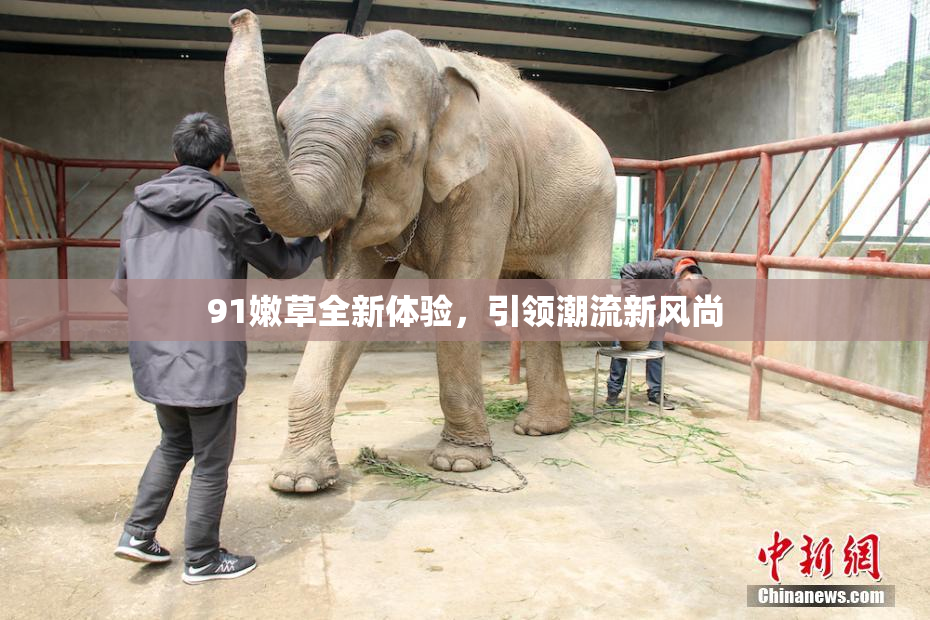91嫩草全新体验，引领潮流新风尚