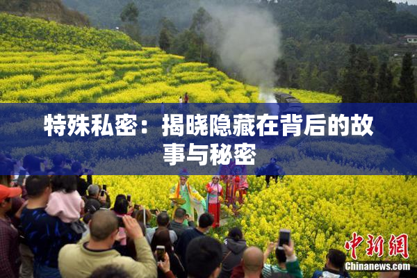 特殊私密：揭晓隐藏在背后的故事与秘密