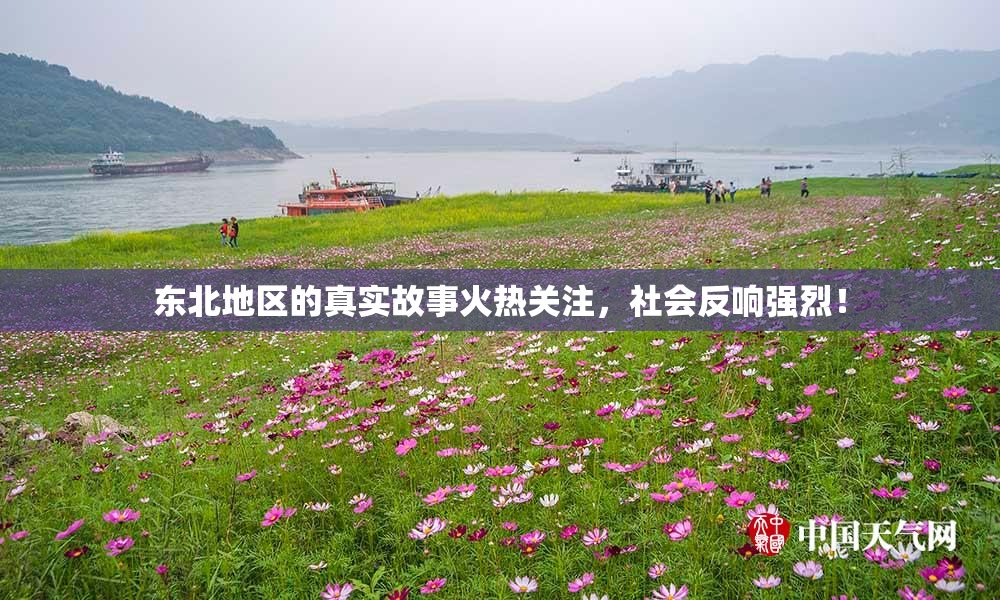 东北地区的真实故事火热关注，社会反响强烈！