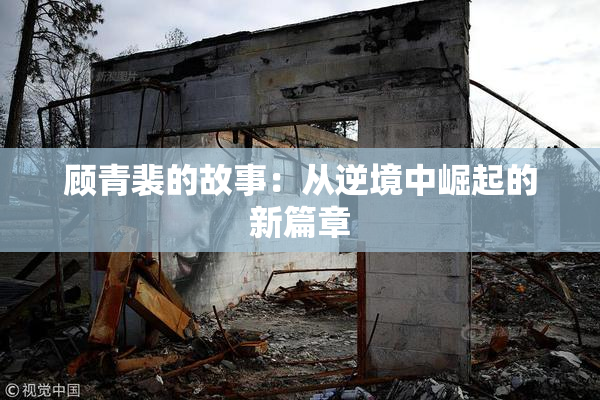 顾青裴的故事：从逆境中崛起的新篇章