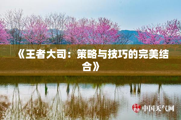 《王者大司：策略与技巧的完美结合》
