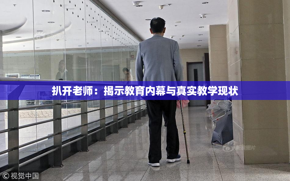 扒开老师：揭示教育内幕与真实教学现状