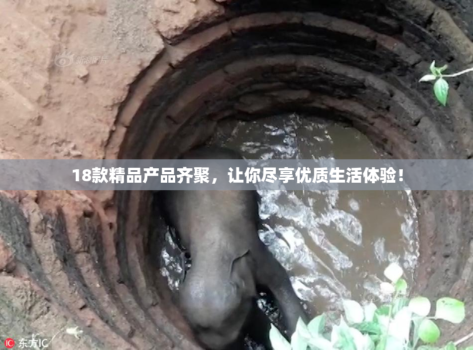 18款精品产品齐聚，让你尽享优质生活体验！