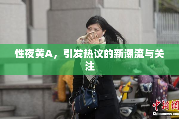 性夜黄A，引发热议的新潮流与关注