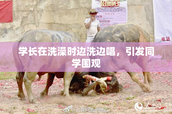 学长在洗澡时边洗边唱，引发同学围观