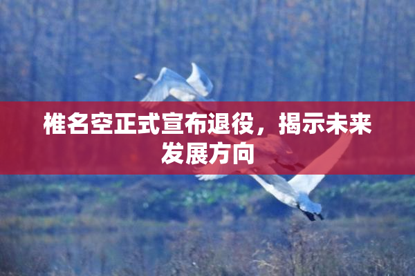 椎名空正式宣布退役，揭示未来发展方向