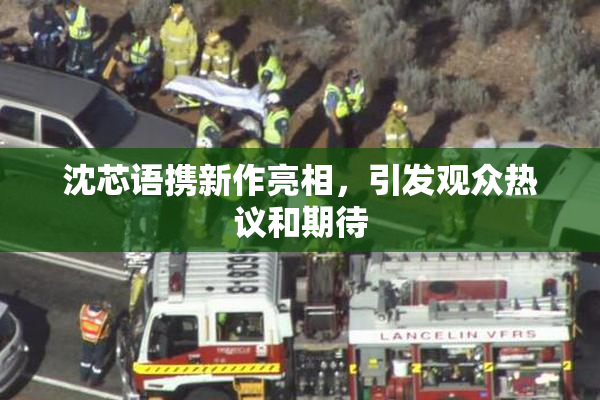 沈芯语携新作亮相，引发观众热议和期待