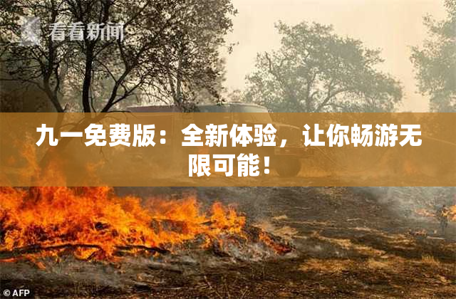 九一免费版：全新体验，让你畅游无限可能！