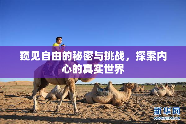 窥见自由的秘密与挑战，探索内心的真实世界