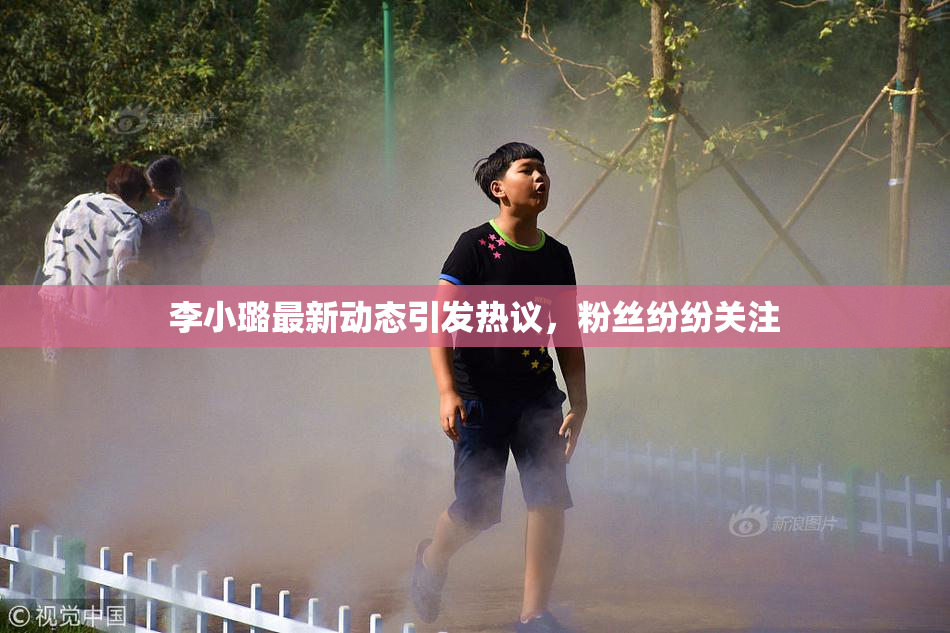 李小璐最新动态引发热议，粉丝纷纷关注