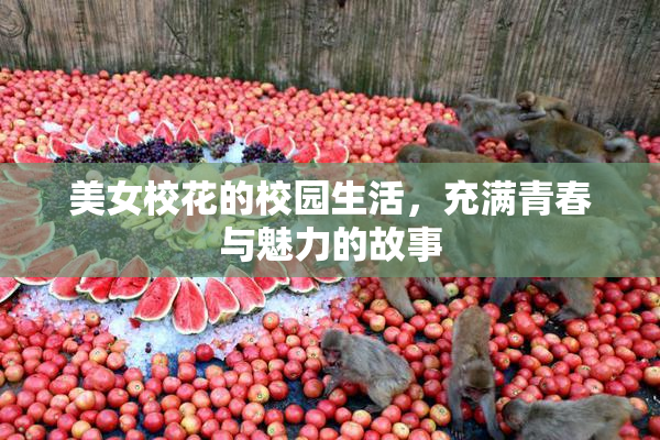 美女校花的校园生活，充满青春与魅力的故事
