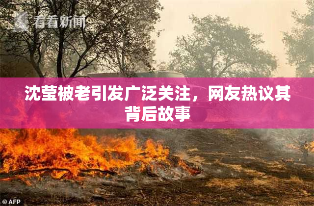 沈莹被老引发广泛关注，网友热议其背后故事