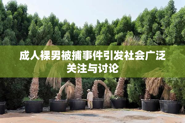 成人裸男被捕事件引发社会广泛关注与讨论