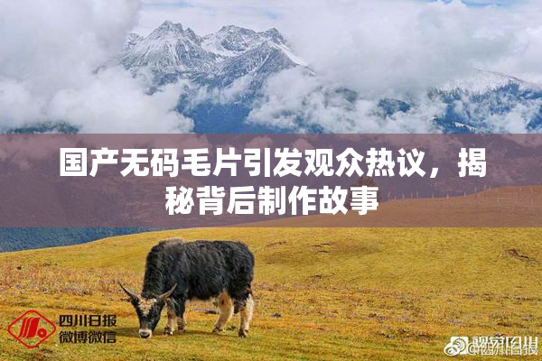 国产无码毛片引发观众热议，揭秘背后制作故事