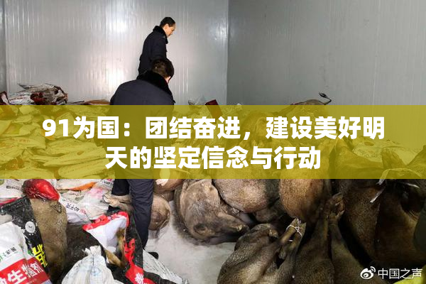 91为国：团结奋进，建设美好明天的坚定信念与行动