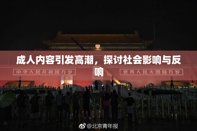 成人内容引发高潮，探讨社会影响与反响