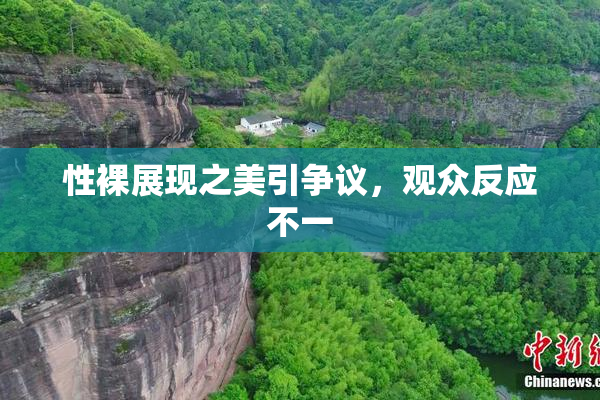性裸展现之美引争议，观众反应不一