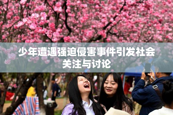 少年遭遇强迫侵害事件引发社会关注与讨论