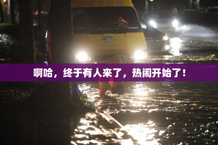 啊哈，终于有人来了，热闹开始了！