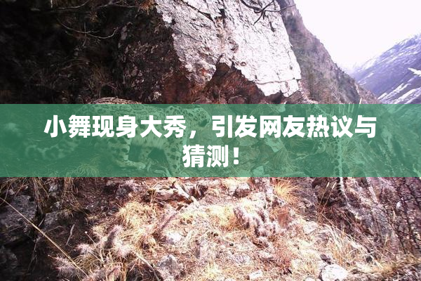 小舞现身大秀，引发网友热议与猜测！