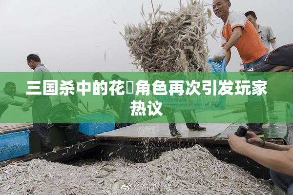 三国杀中的花鬘角色再次引发玩家热议