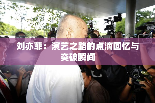 刘亦菲：演艺之路的点滴回忆与突破瞬间